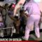 ULTIMISSIME di CRONACA, POLITICA e COSTUME……..