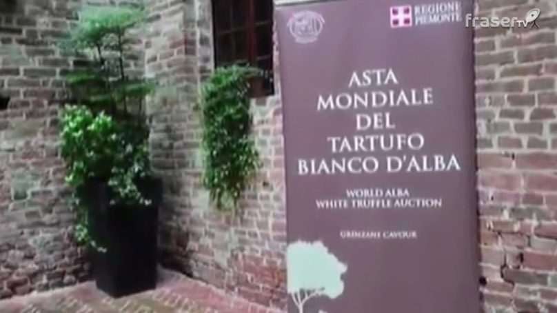 Vini, tartufi e fascino delle Langhe spingono il turismo