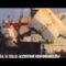 FRASER TV: TG delle 12,30 del 27.06.2013