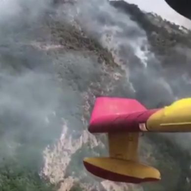 Incendi: in Italia distrutti 51.000 ettari di terreno