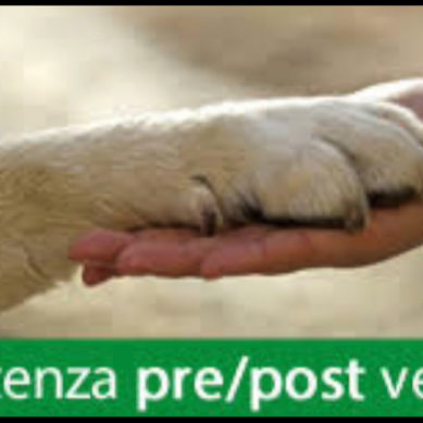 Oggi con ADICONSUM Alessandria – Asti, parliamo di animali che si acquistano e le garanzie…..