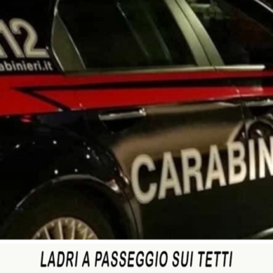 TG di Casale: Edizione flash del 17.12.2018